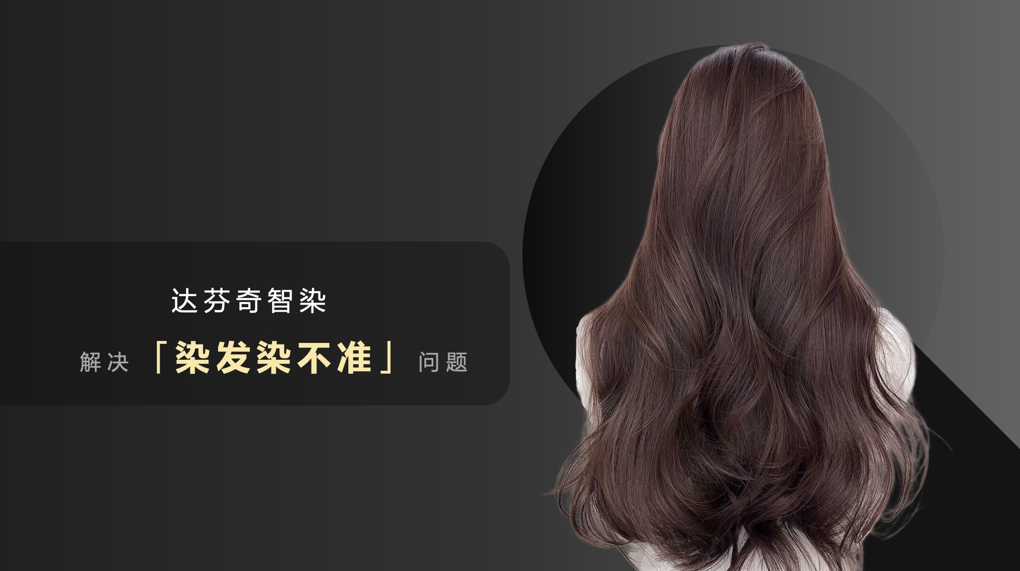 公司介绍